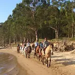 شقة El Sol Y La Mar كوليندريس